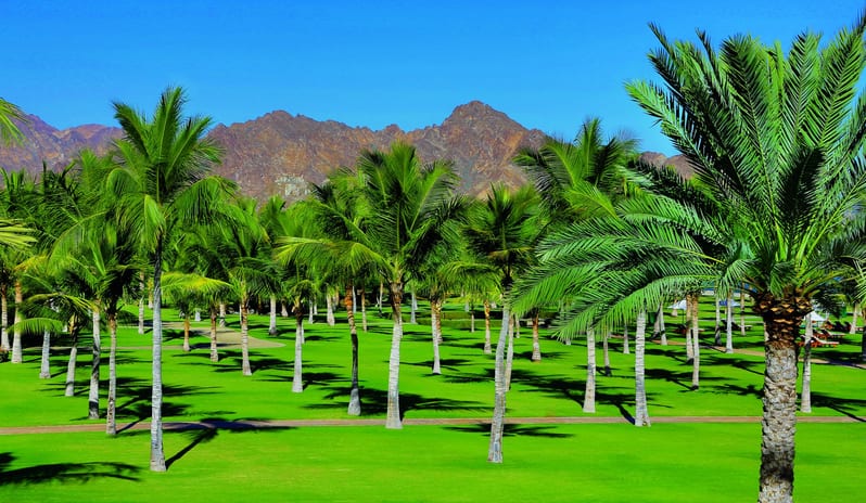 al bustan junior suite 5